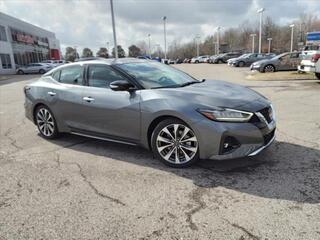 2023 Nissan Maxima for sale in Clarksville TN