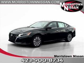 2025 Nissan Altima for sale in Morristown TN