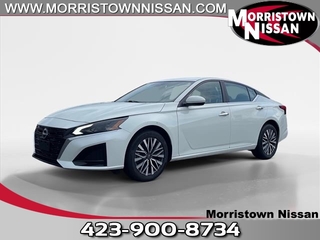 2023 Nissan Altima for sale in Morristown TN