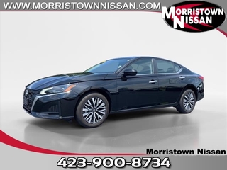 2023 Nissan Altima for sale in Morristown TN