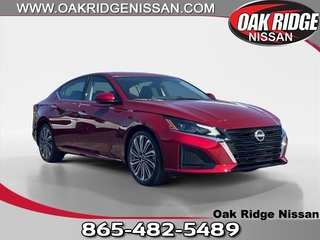 2025 Nissan Altima for sale in Oak Ridge TN