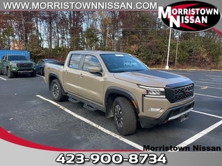 2023 Nissan Frontier for sale in Morristown TN