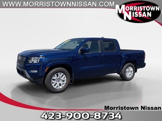 2023 Nissan Frontier for sale in Morristown TN