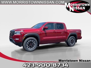 2024 Nissan Frontier for sale in Morristown TN