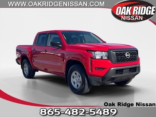 2022 Nissan Frontier for sale in Oak Ridge TN