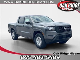 2024 Nissan Frontier for sale in Oak Ridge TN