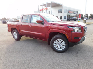 2022 Nissan Frontier for sale in Clarksville TN