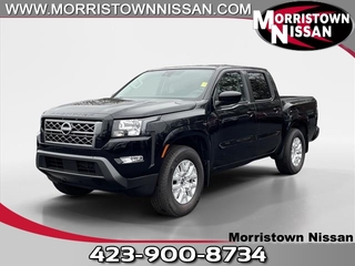 2024 Nissan Frontier for sale in Morristown TN