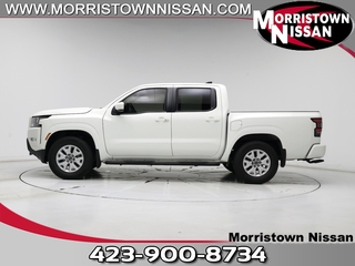 2022 Nissan Frontier for sale in Morristown TN