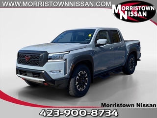 2024 Nissan Frontier for sale in Morristown TN