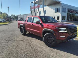 2024 Nissan Frontier for sale in Clarksville TN