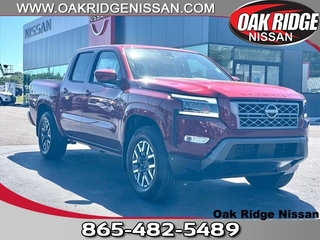 2024 Nissan Frontier for sale in Oak Ridge TN