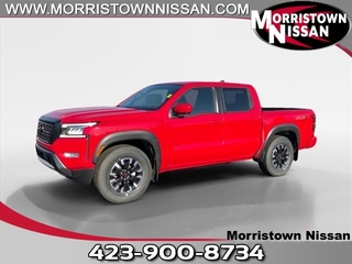 2024 Nissan Frontier for sale in Morristown TN