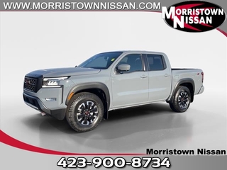 2024 Nissan Frontier for sale in Morristown TN