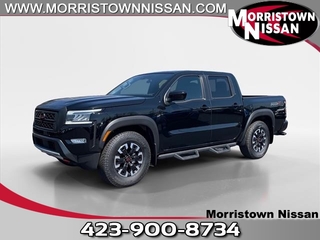 2024 Nissan Frontier for sale in Morristown TN