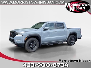 2024 Nissan Frontier for sale in Morristown TN