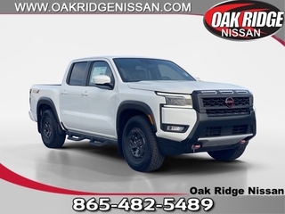 2025 Nissan Frontier for sale in Oak Ridge TN