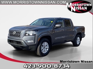 2024 Nissan Frontier for sale in Morristown TN