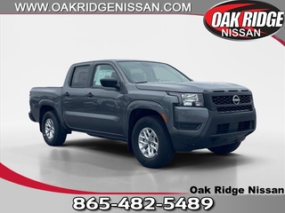 2025 Nissan Frontier for sale in Oak Ridge TN