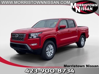 2024 Nissan Frontier for sale in Morristown TN