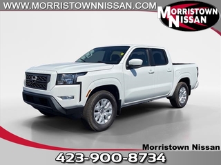 2024 Nissan Frontier for sale in Morristown TN