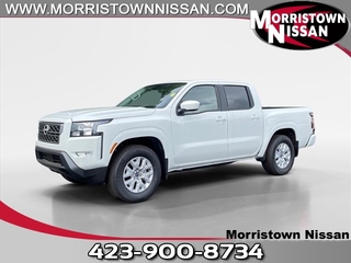 2024 Nissan Frontier for sale in Morristown TN