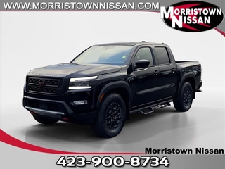 2024 Nissan Frontier for sale in Morristown TN