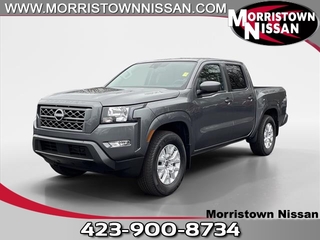 2024 Nissan Frontier for sale in Morristown TN