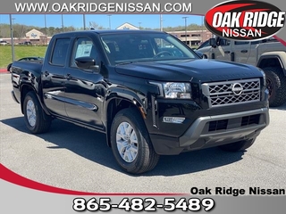 2024 Nissan Frontier for sale in Oak Ridge TN