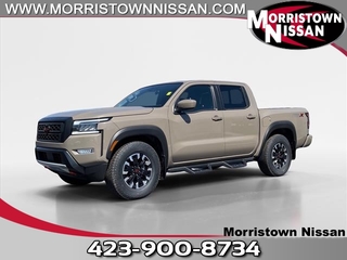 2024 Nissan Frontier for sale in Morristown TN