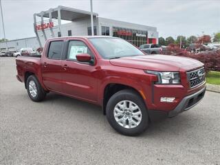 2024 Nissan Frontier for sale in Clarksville TN