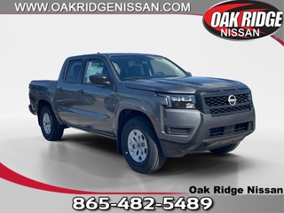2026 Nissan Frontier for sale in Oak Ridge TN