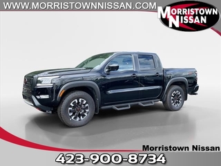 2024 Nissan Frontier for sale in Morristown TN