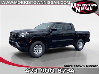 2024 Nissan Frontier for sale in Morristown TN