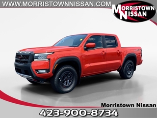 2025 Nissan Frontier for sale in Morristown TN