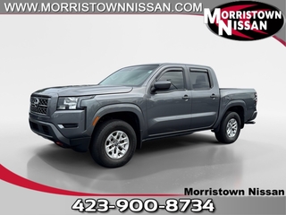 2024 Nissan Frontier for sale in Morristown TN