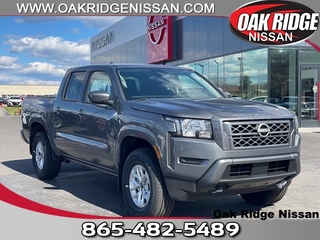 2024 Nissan Frontier for sale in Oak Ridge TN