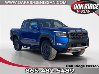 2025 Nissan Frontier for sale in Oak Ridge TN