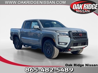 2025 Nissan Frontier for sale in Oak Ridge TN