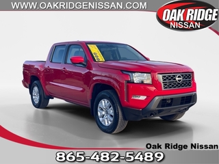 2024 Nissan Frontier for sale in Oak Ridge TN