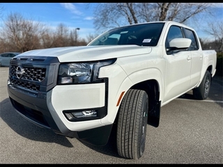2025 Nissan Frontier for sale in Louisville KY