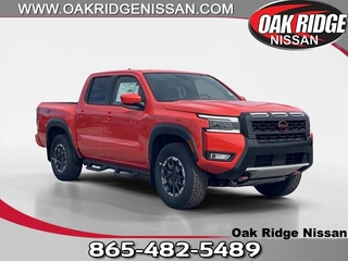 2025 Nissan Frontier for sale in Oak Ridge TN