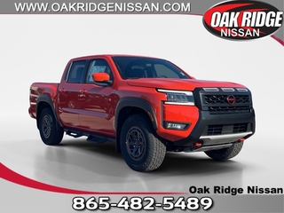 2025 Nissan Frontier for sale in Oak Ridge TN
