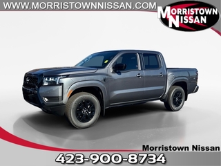 2026 Nissan Frontier for sale in Morristown TN