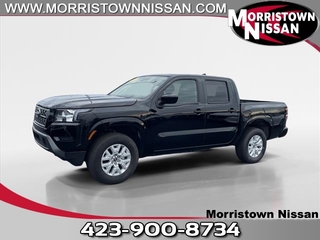 2023 Nissan Frontier for sale in Morristown TN