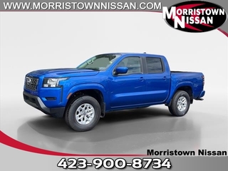 2024 Nissan Frontier for sale in Morristown TN