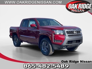 2025 Nissan Frontier for sale in Oak Ridge TN