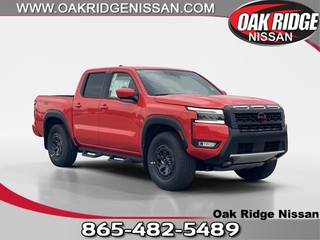2025 Nissan Frontier for sale in Oak Ridge TN