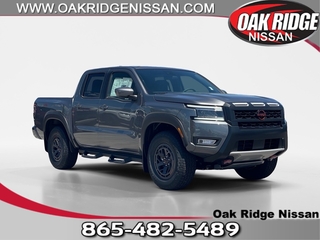2025 Nissan Frontier for sale in Oak Ridge TN