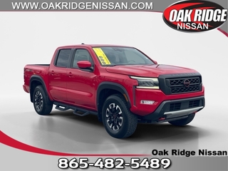 2022 Nissan Frontier for sale in Oak Ridge TN
